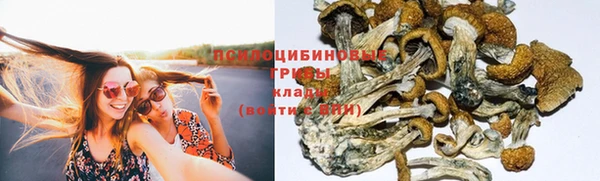 дживик Алексин