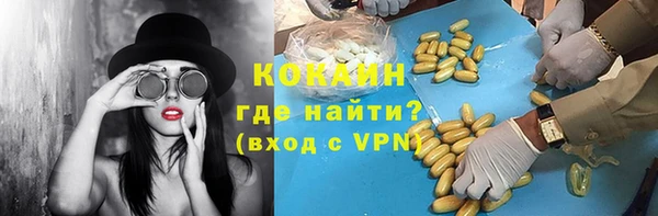 дживик Алексин