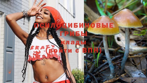 дживик Алексин