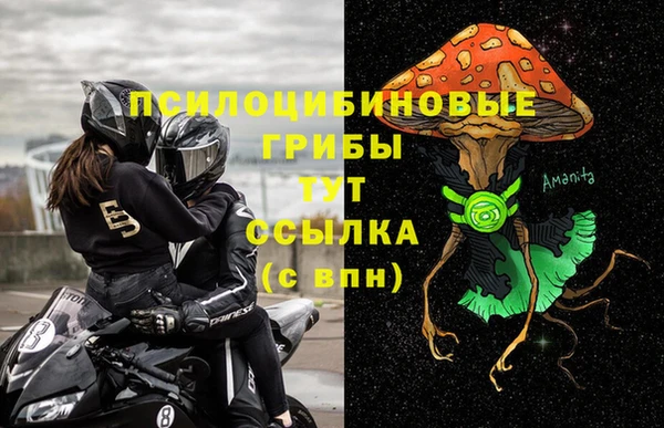 мяу мяу мука Алзамай