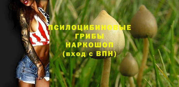 apvp Алексеевка